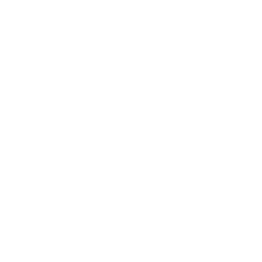 Experience and Expertise Icon