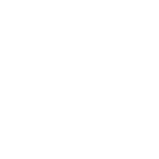 Experience and Expertise Icon